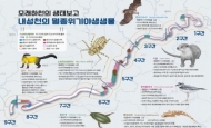경북 내성천서 수달 암컷 6마리, 수컷 5마리 등 서식 확인