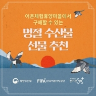 해수부, 설 연휴에 가볼 만한 어촌체험휴양마을 3곳 추천