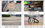서울시,  장애인의 시각에서 보행환경 진단한다