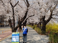 하늘에서 본 여의도 국회의사당 뒤길