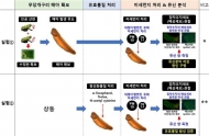 미세먼지로 인한 기관지 건조 원인, 무당개구리 배아로 밝혀내