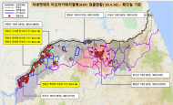 멧돼지 폐사체 4개체에서 아프리카돼지열병 바이러스 검출