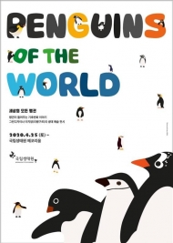 국립생태원, '세계 펭귄의 날' 기념…'세상의 모든 펭귄전' 개최