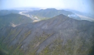 산림청, 경북 안동시 산불 20시간 만에 진화 완료
