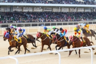 한국마사회, 기수 면허시험 최초 말복지 분야 출제