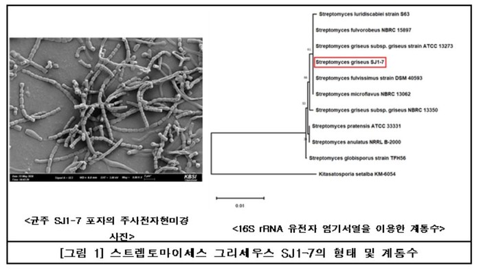 국립생물자원관, 국내 토양 미생물에서 항암제 균주 발견