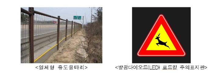 해마다 느는 '로드킬'...유도울타리와 LED 표지판으로 방지