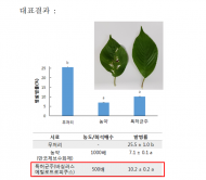 미생물균주 활용하여 벚나무 식물병 방제 지원