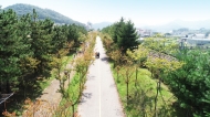 미세먼지 차단 숲 조성 위해 나무 100그루 심는다