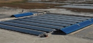 한전, 소금과 전력 동시 생산 '염전 태양광 발전시스템' 구축