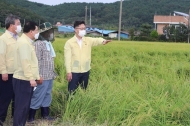 농식품부 김현수 장관, 태풍 '하이선' 피해 경북지역 방문 점검