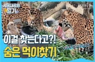 서울대공원,‘세계 동물의 날’기념 다양한 행동풍부화 영상 공개