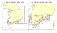 노무라입깃해파리와 보름달물해파리 주의특보 모두 해제