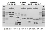 국립수산과학원, 갈치류 어종 판별 유전자마커 기술 개발