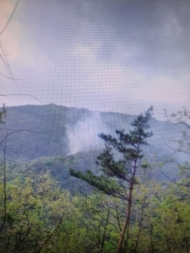 강원 영월군 영월읍 산불 발생... 산림당국 진화중