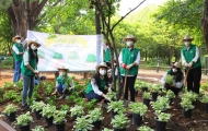스타벅스, 고객과 파트너가 손잡고서울숲공원에 약 300평 숲 조성