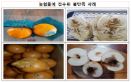 신선도  만족스럽지도 않은 농협몰...농협의 소비자 배신