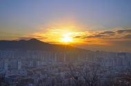 희망품고 솟아오른 신축년 친환경 동대문구 첫 해시작...