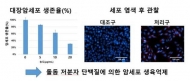 국립수산과학원, 돌돔 유전체 정보 활용해 대장암 억제물질 개발