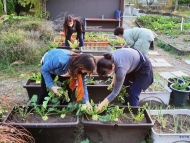 용산구, 마을공동체 공모사업 추진...6개 분야 50개 사업 추진