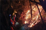 경기도, 31개 시군 대상 산불대비 대응태세 점검