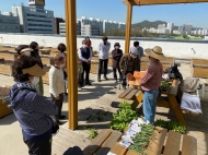 가락몰 옥상 텃밭 총 40가구 분양, 4월 5일 식목일 개장식 개최