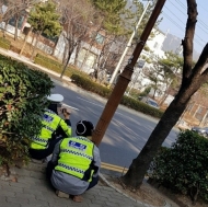 [환경포토]횡단보도 우회전 차량 단속...우회전 시 무조건 '일시정지'