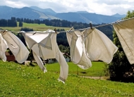 세탁-건조기 사용이 ‘미세플라스틱’ 발생의 주범? 안전한 세탁 방법 