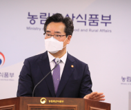 강원 양구 아프리카돼지열병 발생...확산 차단에 총력