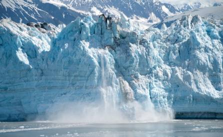 알래스카 대게, 개체 수 확연하게 줄어든 이유는 남획? 기후변화?