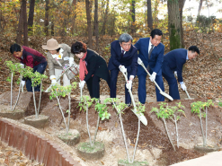 한국경마 100년... 친환경 숲길 조성 100년 추진 운영