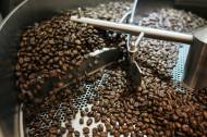 세포배양 기술, 커피 멸종·환경 오염 줄이는 일석이조 기술