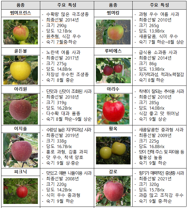 농촌진흥청, 사과 묘목 품종소개 - 데일리환경