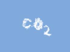 전 세계가 집중하는 ‘탄소 발자국’ 줄이기… 탄소 배출 ‘0’을 위한 움직임