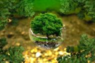 산림청, 대한민국 산림 가치 끌어올리기 위한 100년 비전 공개