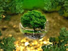 산림청, 대한민국 산림 가치 끌어올리기 위한 100년 비전 공개