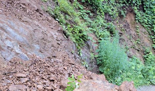 남성현 산림청장, 산림다중이용시설 집중호우 대처 상황 현장 점검