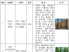 산림청, 이번 여름휴가 걷기 좋은 명품숲길로 산책 갈까 ?