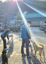 한국마사회 , 유기동물 보호소 찾아 환경활동