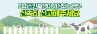 11월 27일부터 전국 소 반출입 제한 해제 조치...전북 고창도 선별적 살처분 지역으로 전환