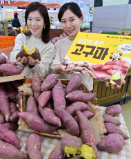 겨울철 별미, 건강에 좋은 ...영양 간식 고구마