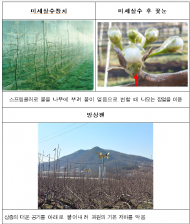 농림식품부, 15～16일 강설·우박 예보에 사과 주산지 대응상황 긴급 점검