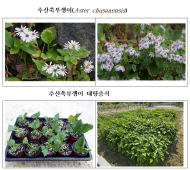 환경부, 국립생물자원관 대량 증식법 확립으로 안정적인 생물소재 공급 가능