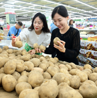 농협 하나로마트... 여름 제철 농산물 '감자50%'  행사 추진