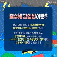 여름철 특히 주의해야 할 풍수해 감염병, 예방 수칙은?