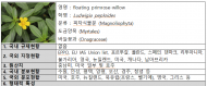 환경부, 생태계교란 생물 2종 및 유입주의 생물 150종 신규 지정