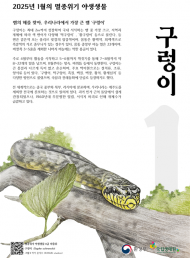 환경부,1월의 멸종위기 야생생물로 ‘구렁이’ 선정