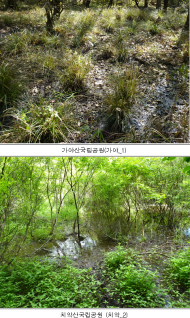 환경부, 국립공원 습지 18곳 추가 확인…탄소저장고 보고