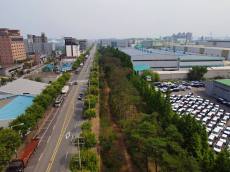 호흡기 질환 주범 미세먼지...도시 친환경숲 통해 잡는다