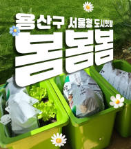 용산구,‘우리 집 싱싱박스’ 상자텃밭 신청자 모집